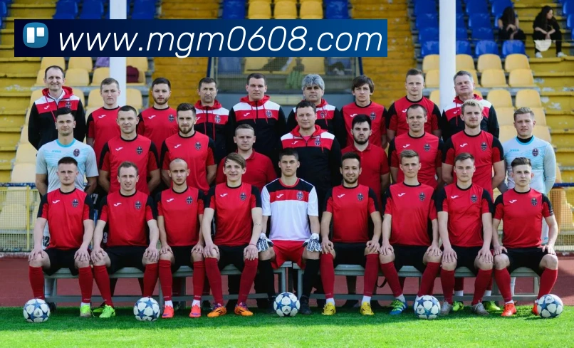 美高梅官网服务体系